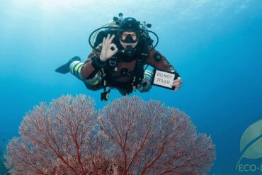 Responsible diver demonstrating good buoyancy over a coral reef, highlighting CDWS and environmental protection standards.