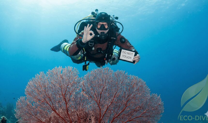 The CDWS & Eco-Diving: How We Protect the Red Sea Together