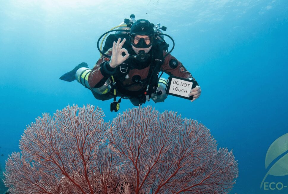 Responsible diver demonstrating good buoyancy over a coral reef, highlighting CDWS and environmental protection standards.