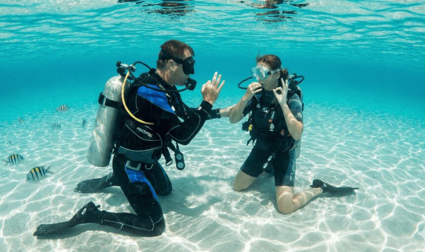From Beginner to Pro: Your Guide to PADI Diving Courses in Hurghada