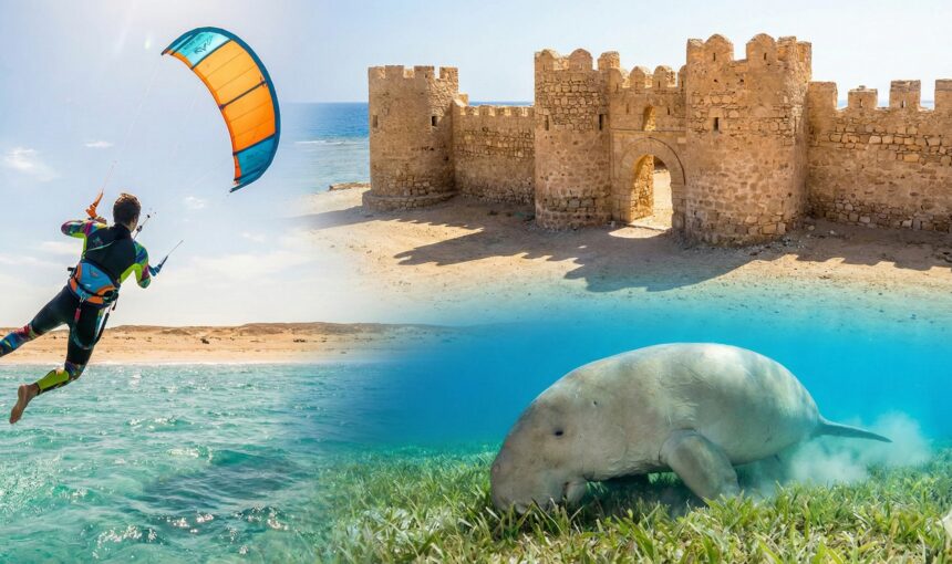 Beyond Hurghada: Discovering Safaga, El Quseir, and Marsa Alam
