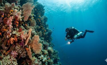 Täglich Tauchen Hurghada