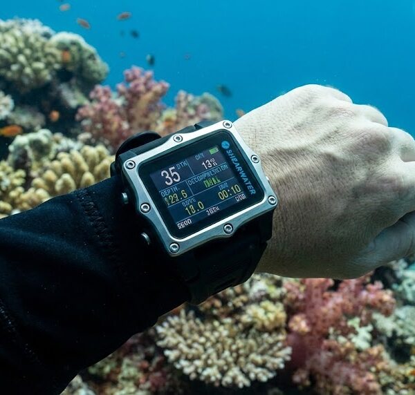 Diver checking dive computer between dives