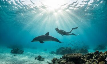 Dolphin House Hurghada