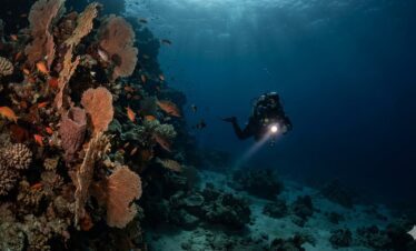 PADI Advanced Open Water Hurghada