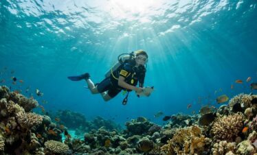 PADI Open Water Hurghada