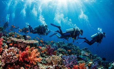 Erleben drift Tauchen in Hurghada