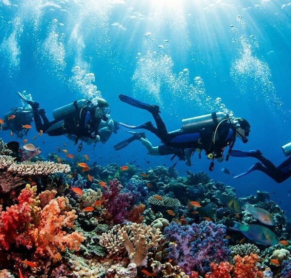 Experiencing drift diving in Hurghada
