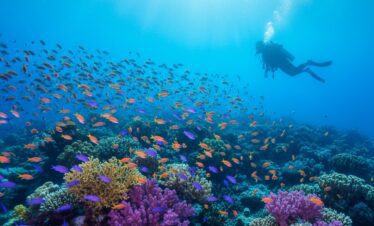 Discovering marine life during a private boat trip