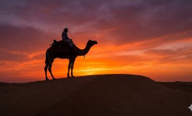 Camel ride during 3 Hour Desert Safari Hurghada