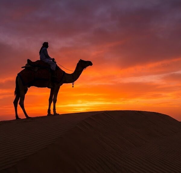 Camel ride during 3 Hour Desert Safari Hurghada